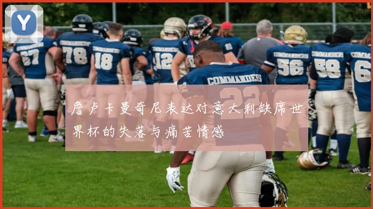 詹卢卡曼奇尼表达对意大利缺席世界杯的失落与痛苦情感