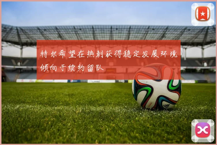特尔希望在热刺获得稳定发展环境倾向于续约留队